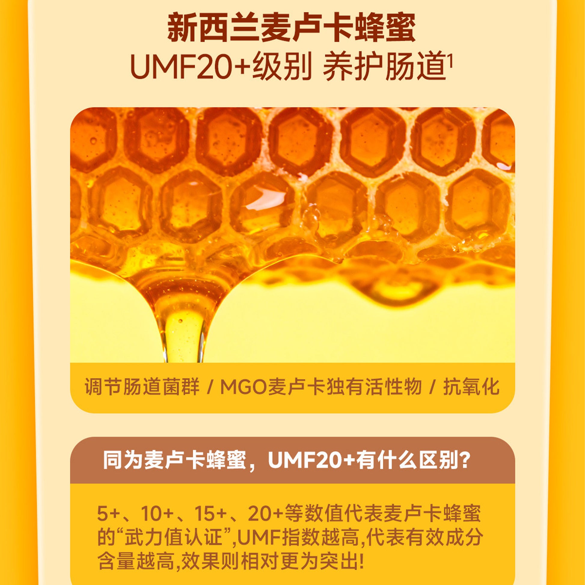 The Cat‘s Travel🐱Bear Bistro Honey Pudding Complete Wet Food