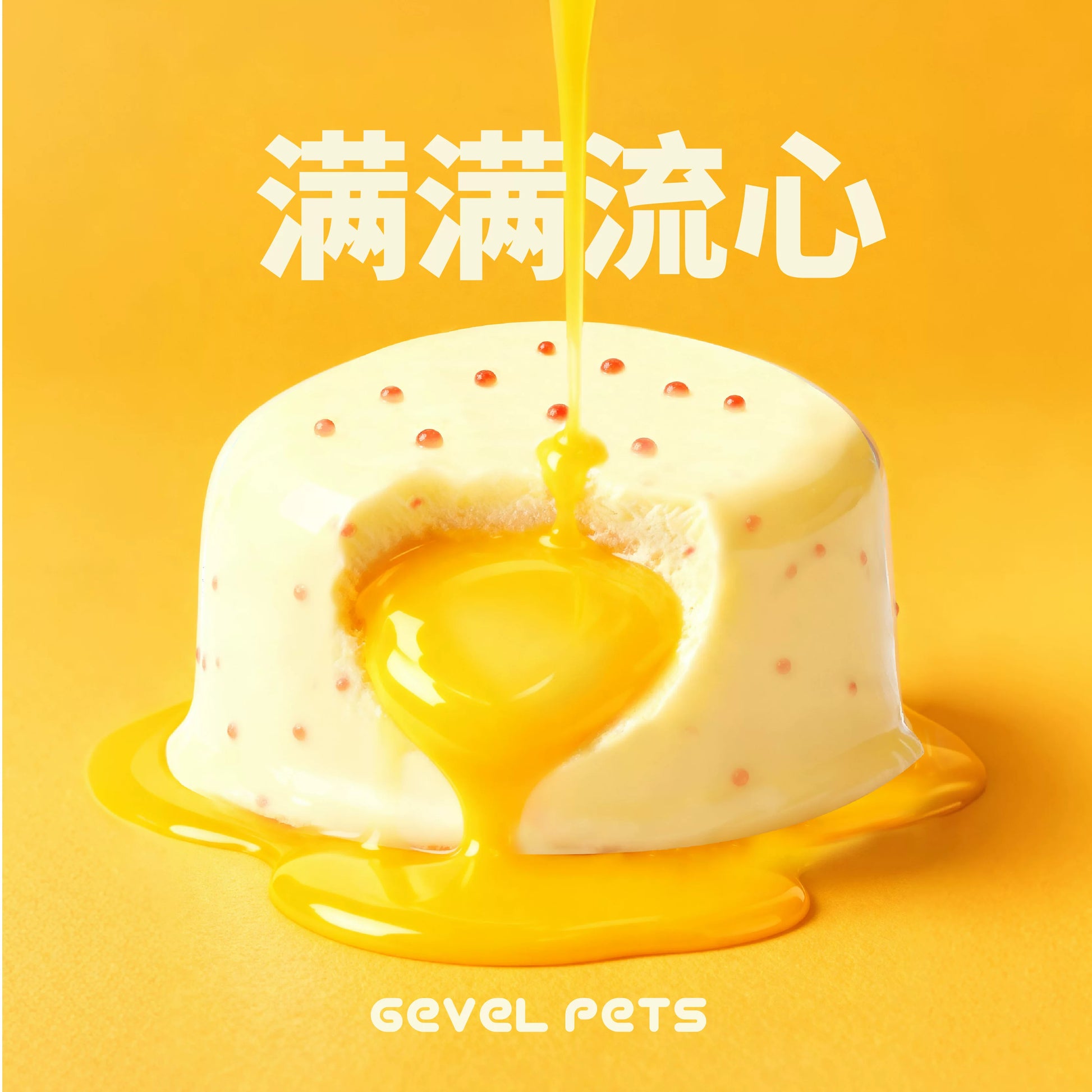 Gevel Pets🐱Functional Colostrum Lava Pudding Wet Food 65g