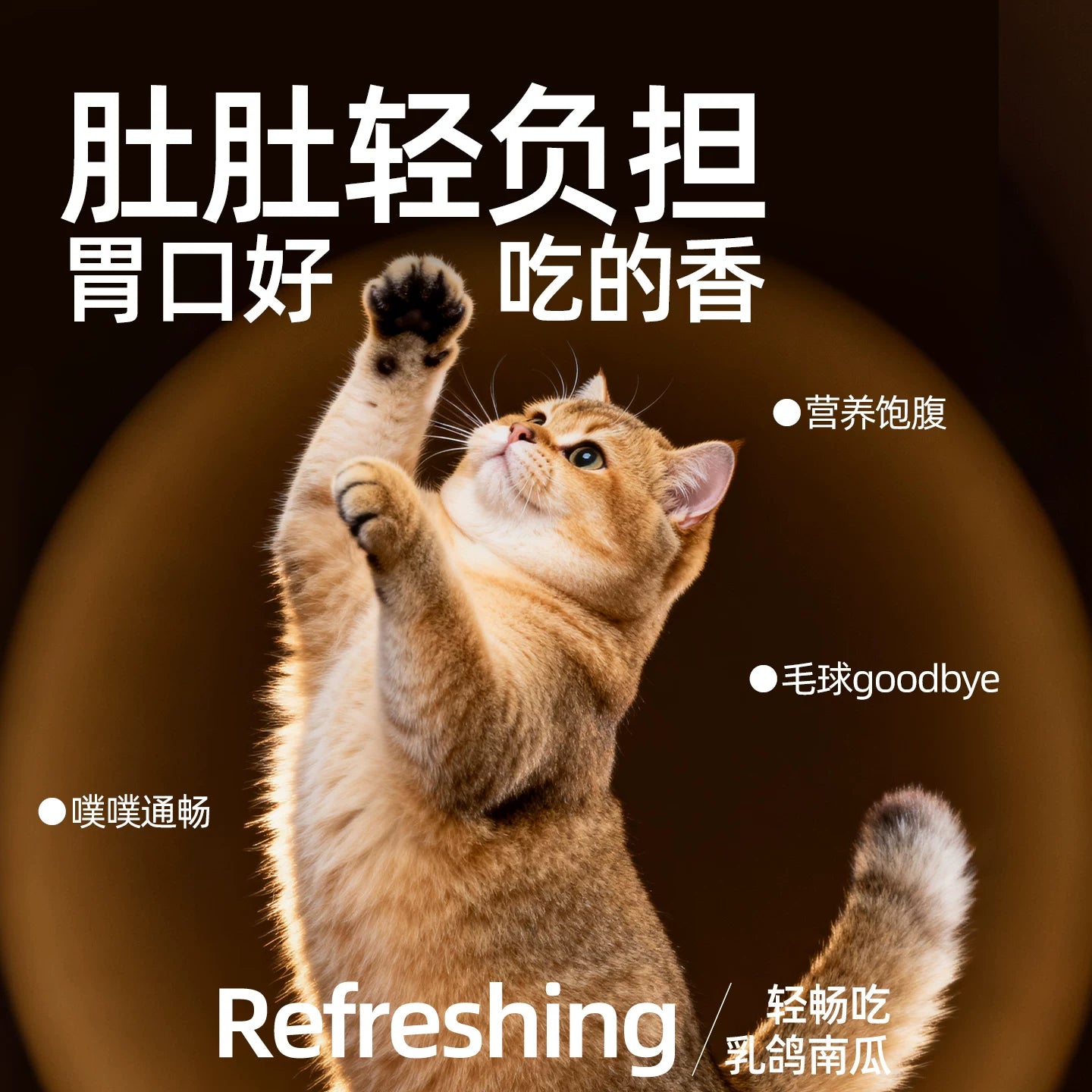 ZIIKY🐱Freeze Dried Complete Food Pigeon & Pumpkin 200g