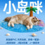 Bright🐱Summer Special Limited Collection - Island Coco Party Deluxe Set 1.97kg