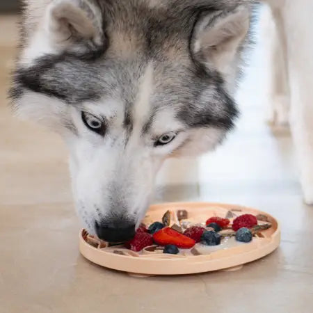 Inooko🐱🐶Licking Mat - Yoomy Pizza