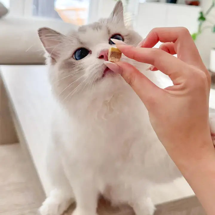 Petit🐱🐶Freeze Dried Cake Cube Duck Egg Yolk & Goat Milk 50g