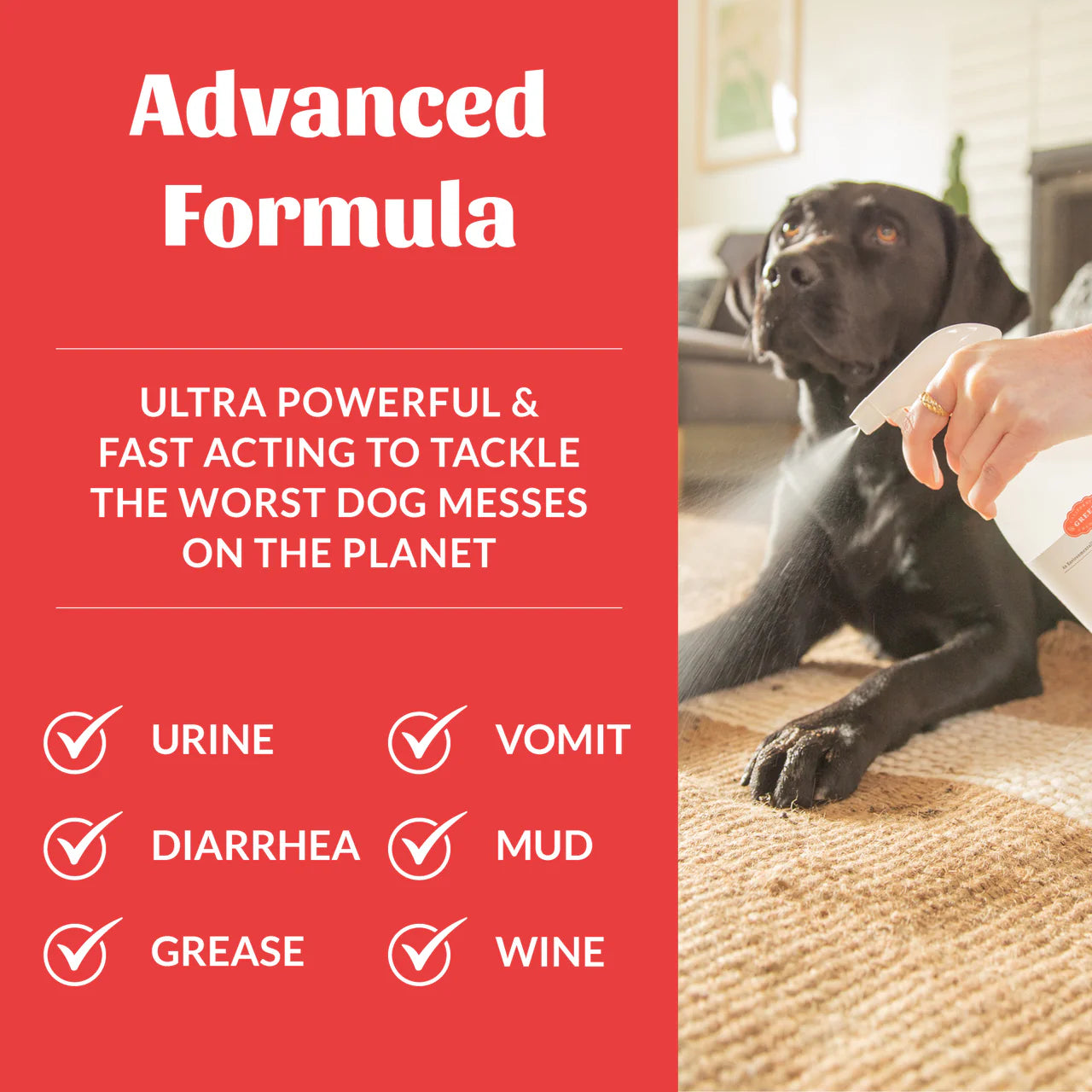 Skout’s Honor🐶Severe Mess Stain & Odor Advanced Formula 35oz