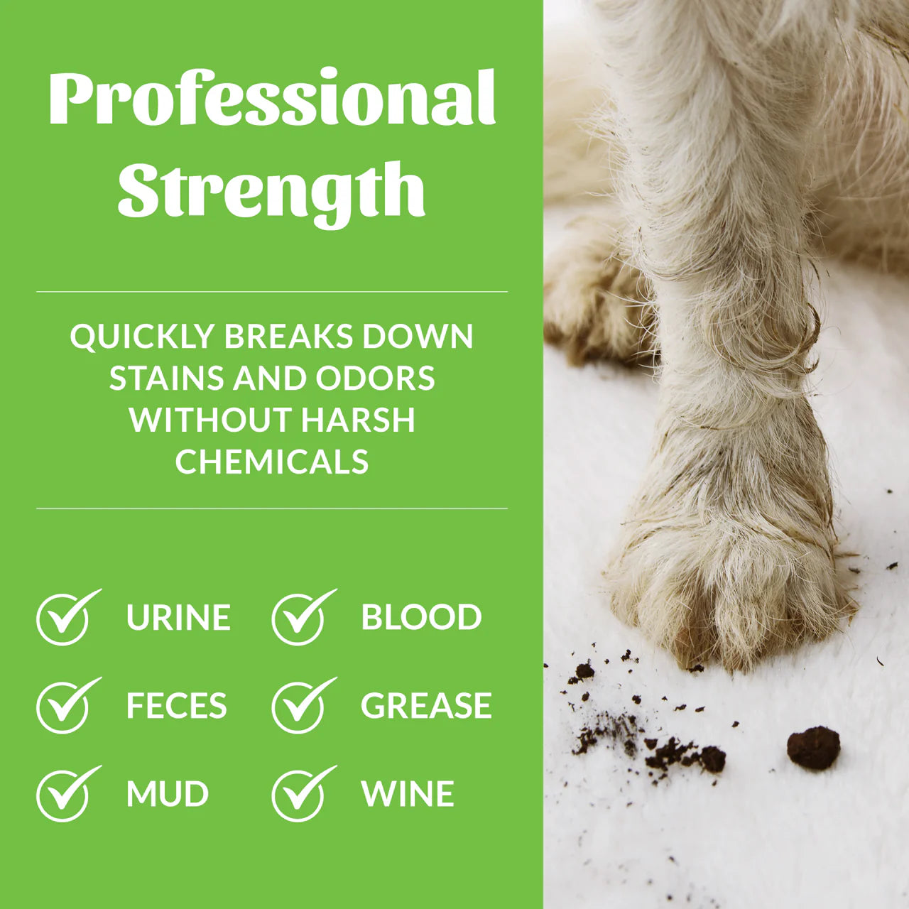 Skout’s Honor🐶Stain & Odor Remover 35oz