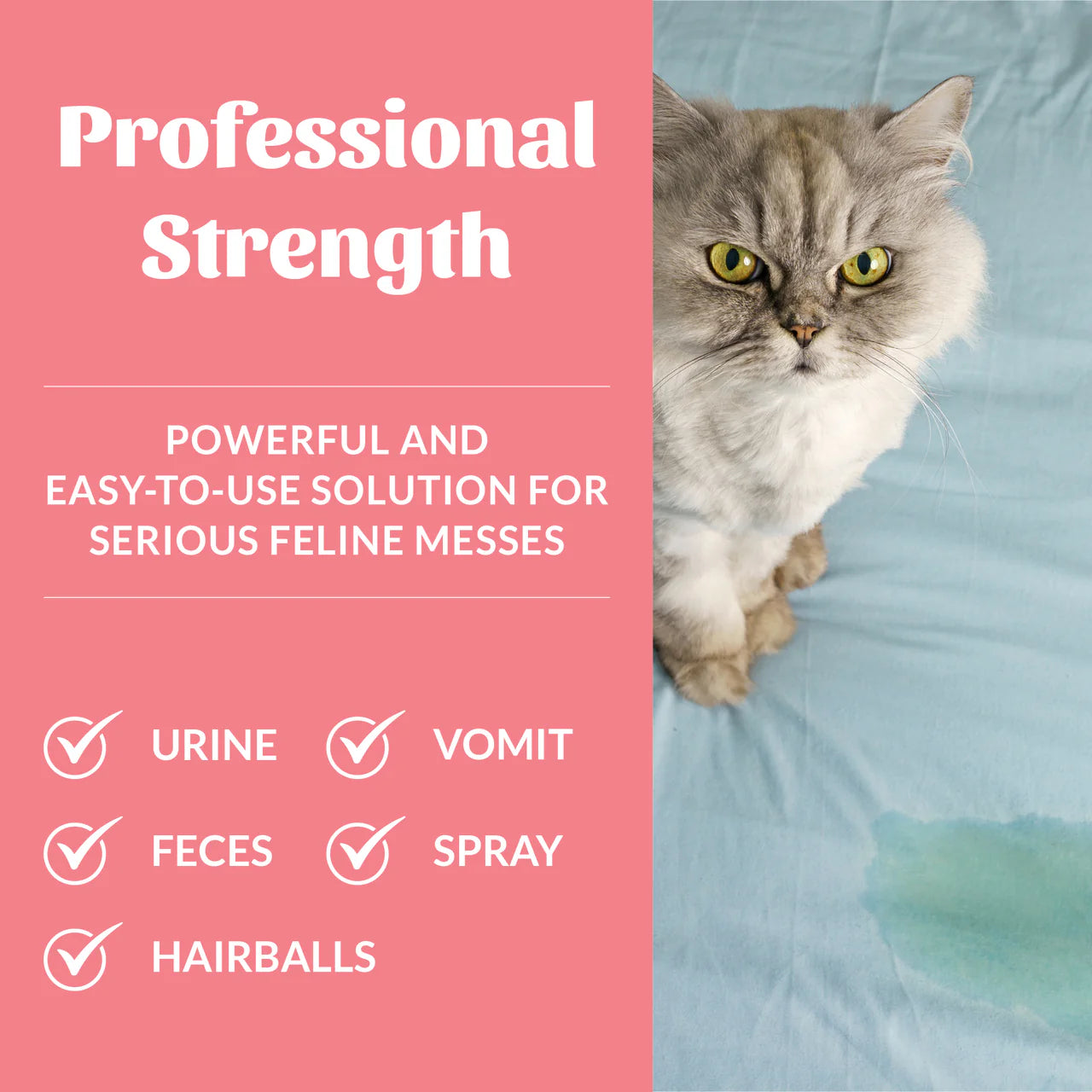 Skout’s Honor🐱Cat Urine & Odor Destroyer 35oz