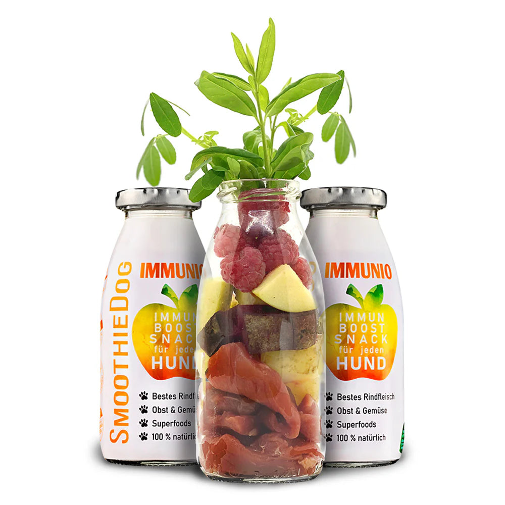Smoothie Dog🐶Immunio 8.5oz