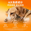 Bright🐱🐶Nutrition Wet Box - Salmon & Persimmon Creamy Core 100g