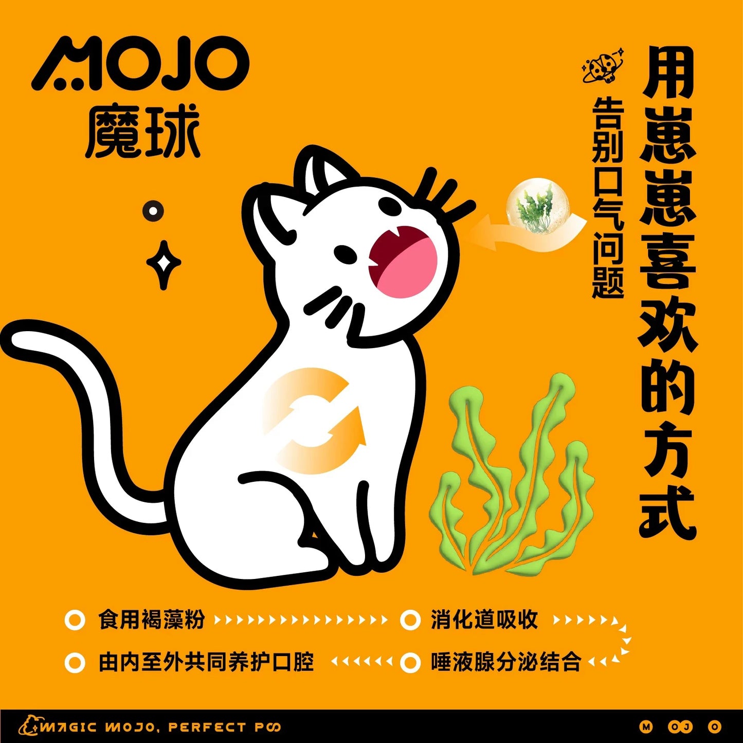 MOJO🐱🐶Freeze Dried Digestion Chicken & Insect 63g