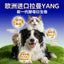 MAG🐱🐶Freeze Dried Breath-Freshening Green Tea Bites 52g