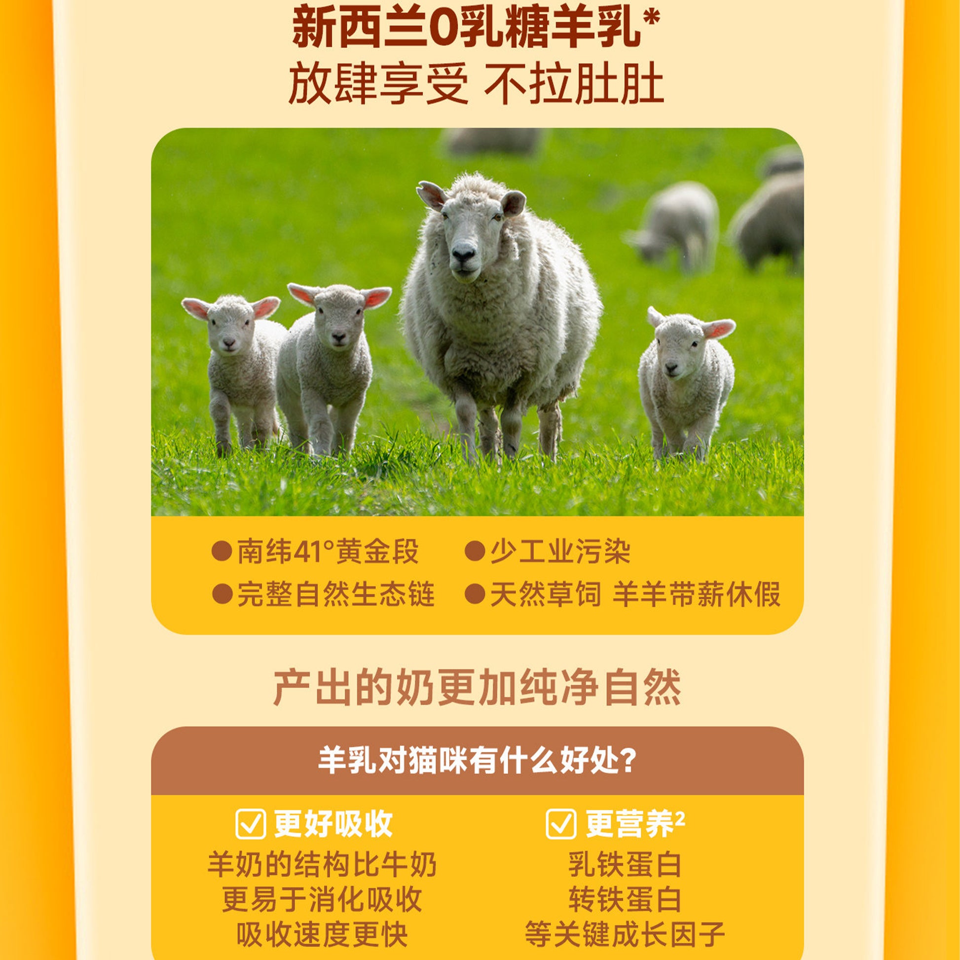 The Cat‘s Travel🐱Bear Bistro Honey Pudding Complete Wet Food