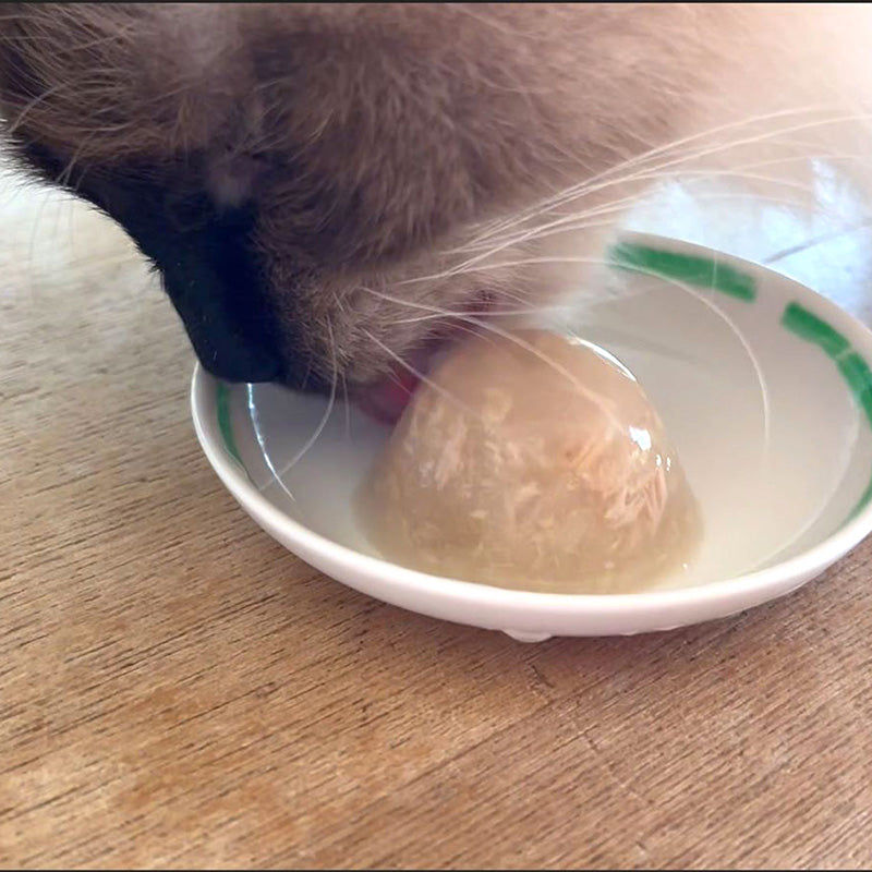 Petio🐱Hydration & Probiotics Chicken Jelly Cup 4pc