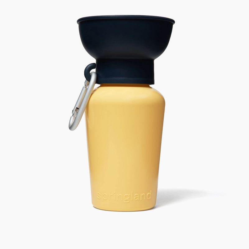 Srpingland🐶Limited-Edition Spring/Summer 2026 Water Bottle 20oz