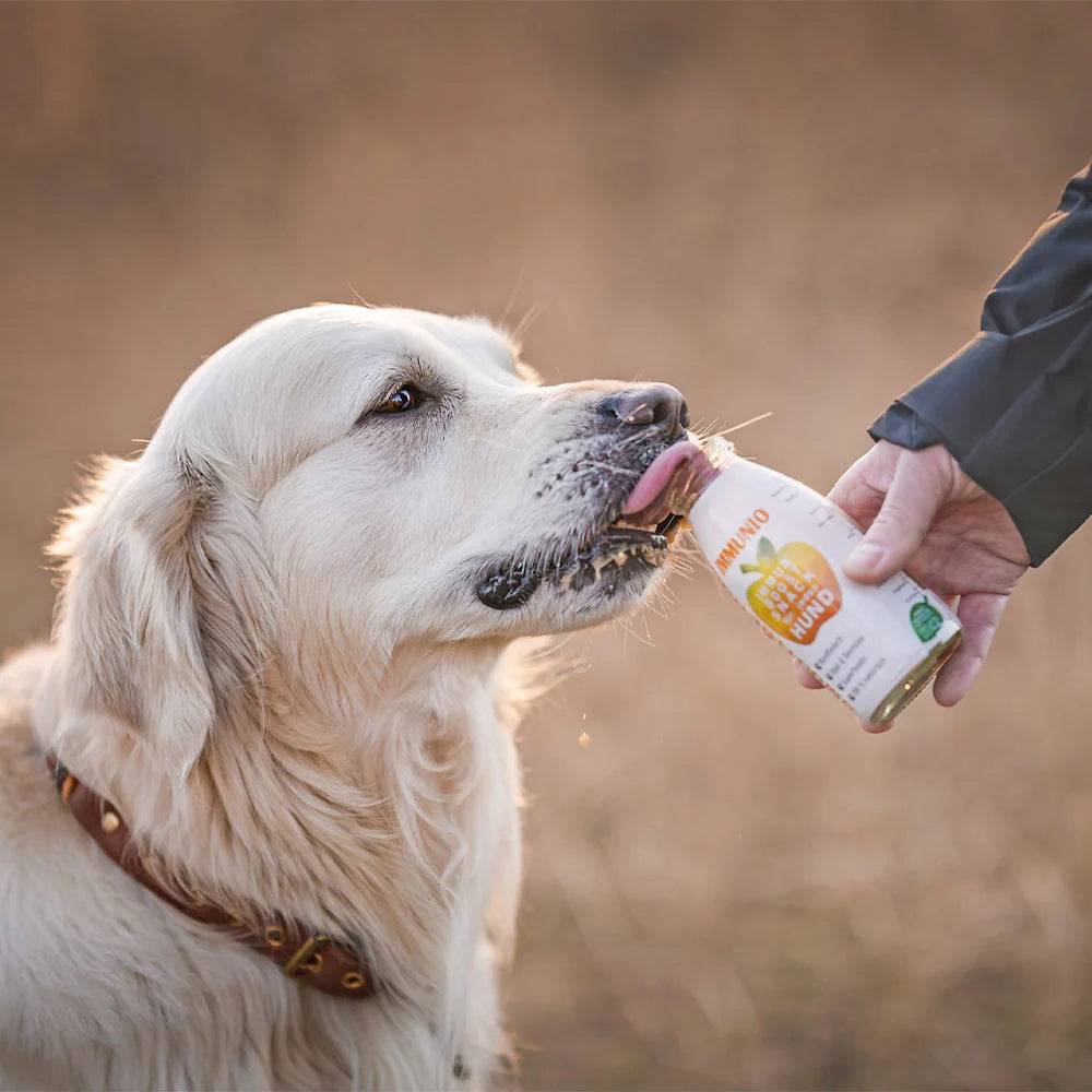 Smoothie Dog🐶Immunio 8.5oz