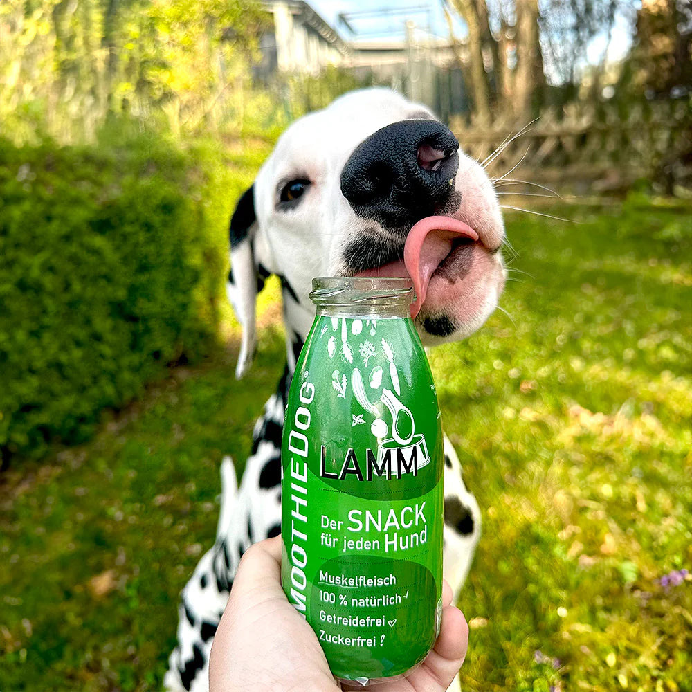 Smoothie Dog🐶Lamb 8.5oz