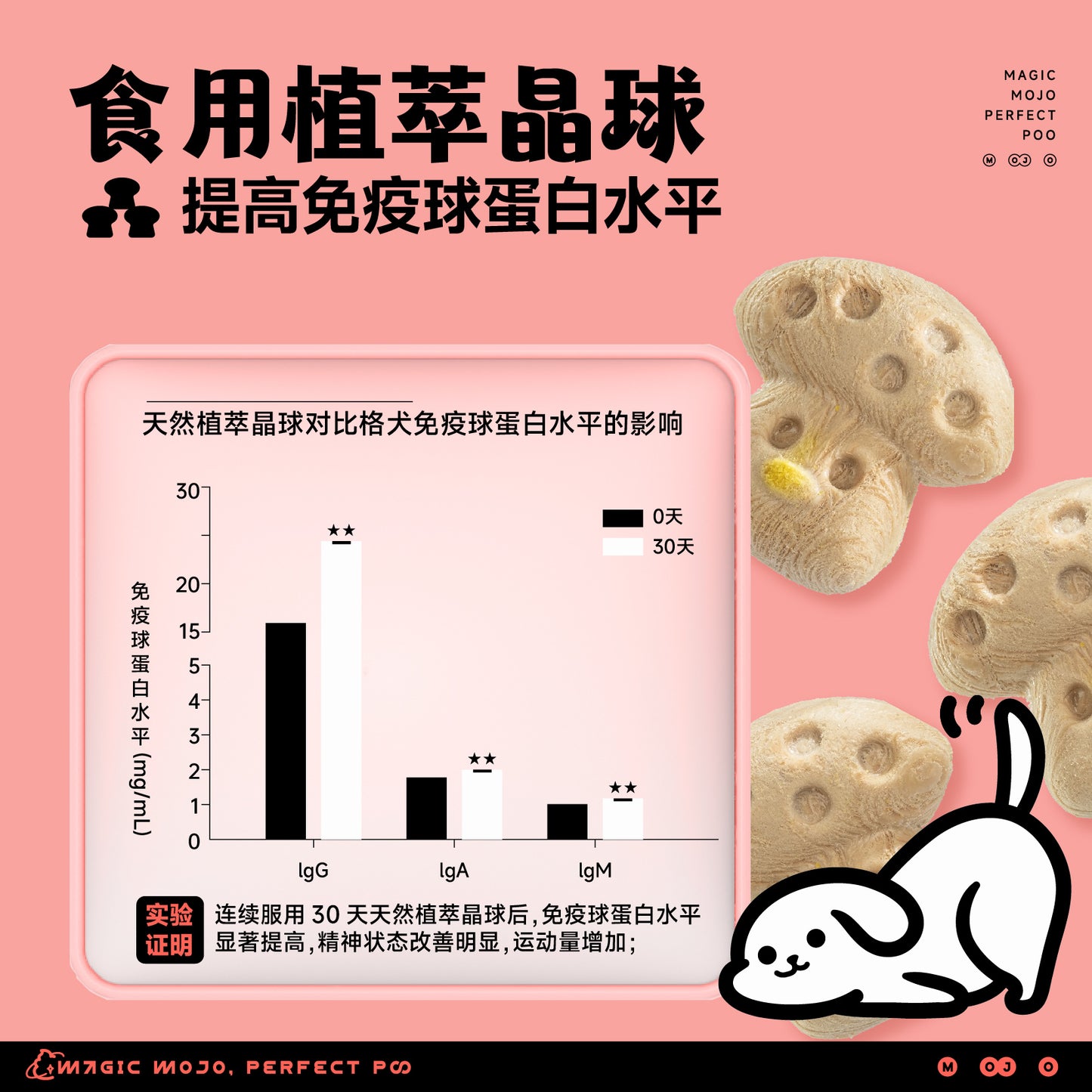 MOJO🐱🐶Freeze Dried Magic Mushroom 42g