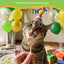 PawUp🐱Freeze Dried Chicken Lollipop 1pc