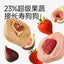 Yee🐱🐶Freeze Dried Super Fruit & Veggie Tart 1pc