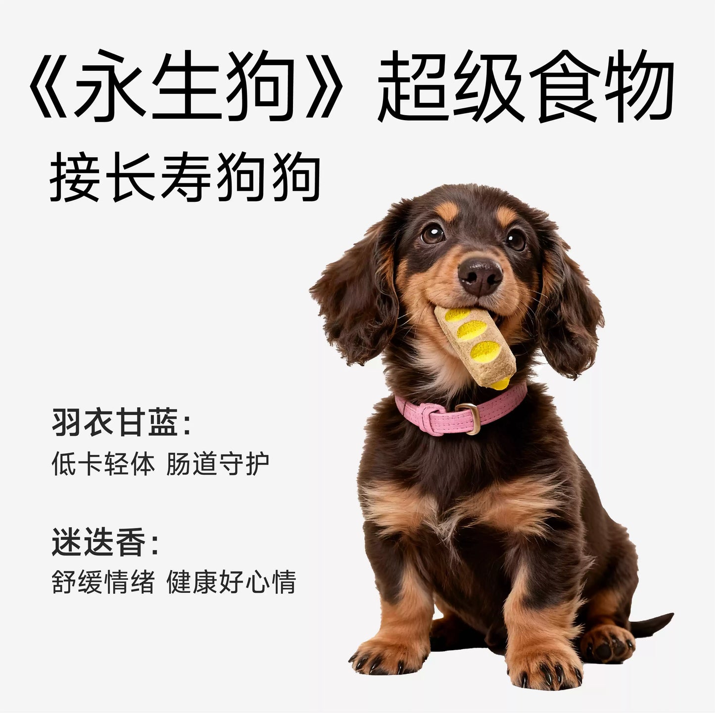 Yee🐶Freeze Dried Cheese Pork Testicle & Kale Egg Baguette 110g