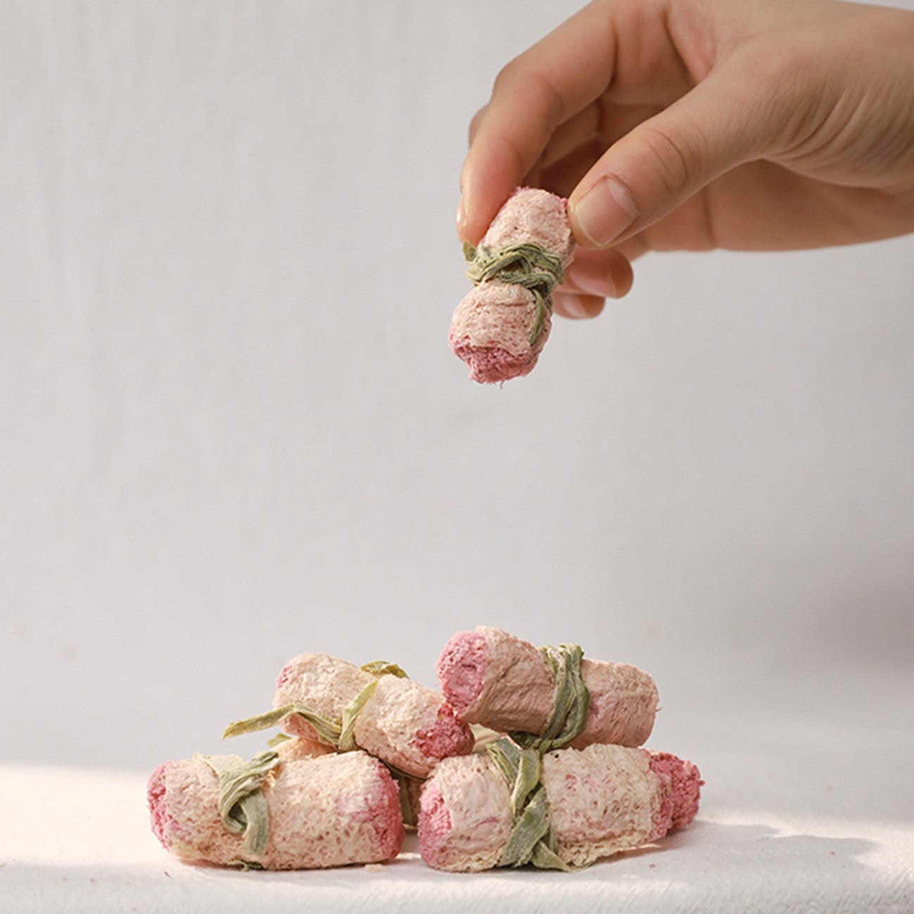 Fredy🐱🐶Freeze Dried Bamboo Fungus Turkey Rolls 1.24oz