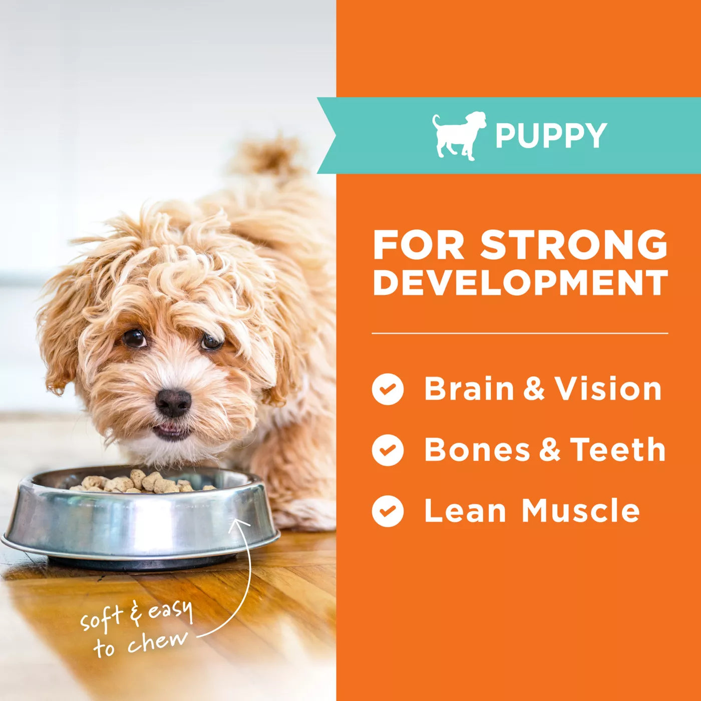 Instinct🐶Raw Freeze-Dried Puppies Meals Cage-Free Chicken