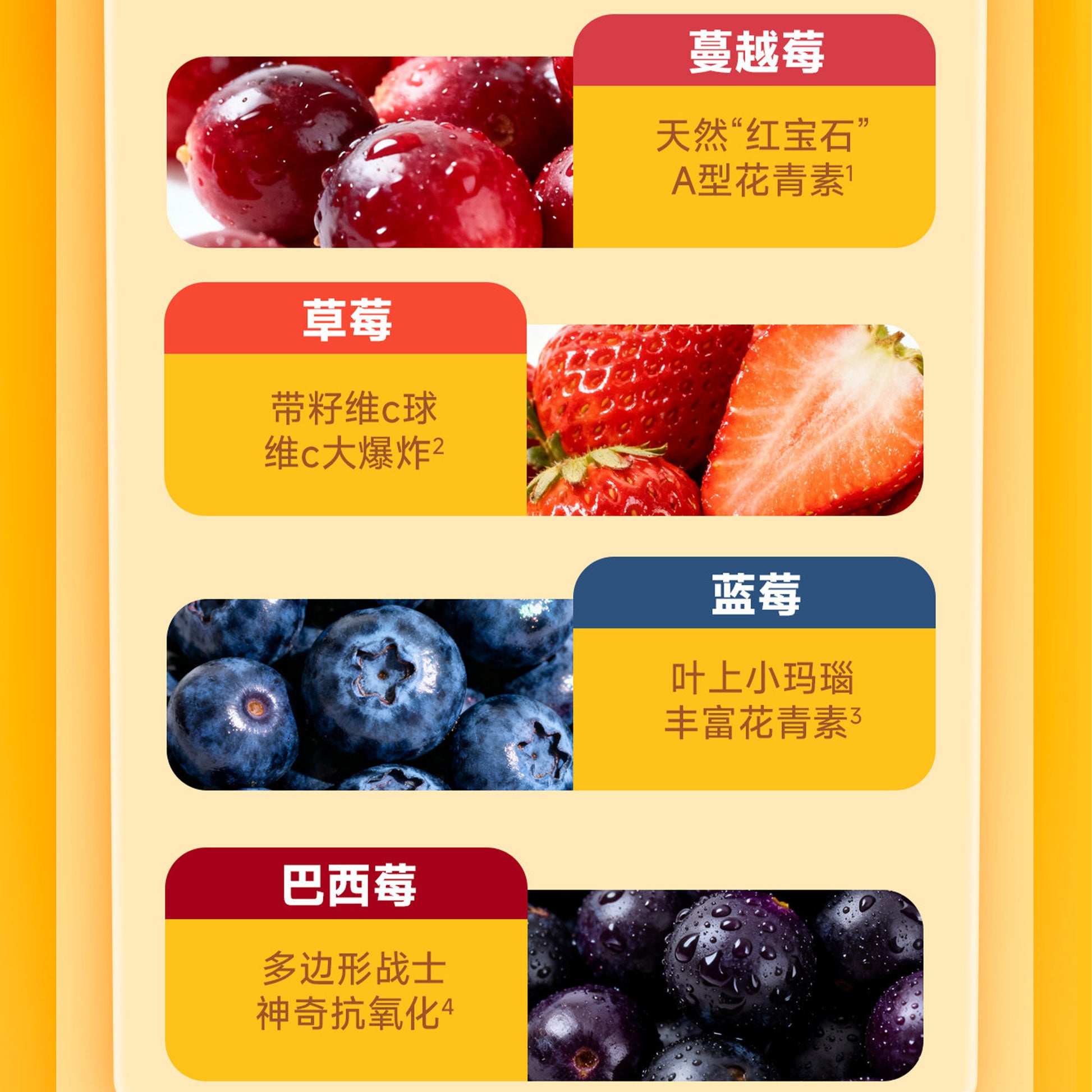 The Cat‘s Travel🐱Bear Bistro Honey Pudding Complete Wet Food