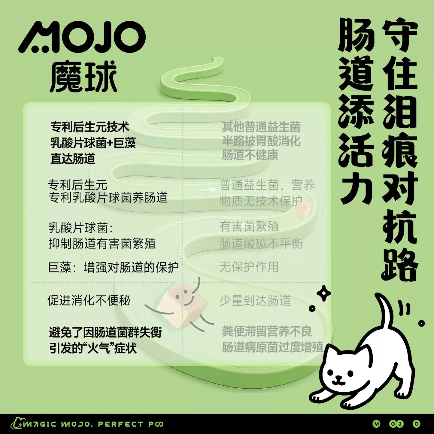 MOJO🐱Freeze Dried Complete Food Duck & Pear 300g