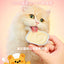 The Cat‘s Travel🐱Bear-Shaped Yogurt "Hug" Puree Complete Wet Food