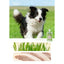 Radiopilot🐱Complete Recipe Fluffy Cloud Lactoferrin Purée 100g