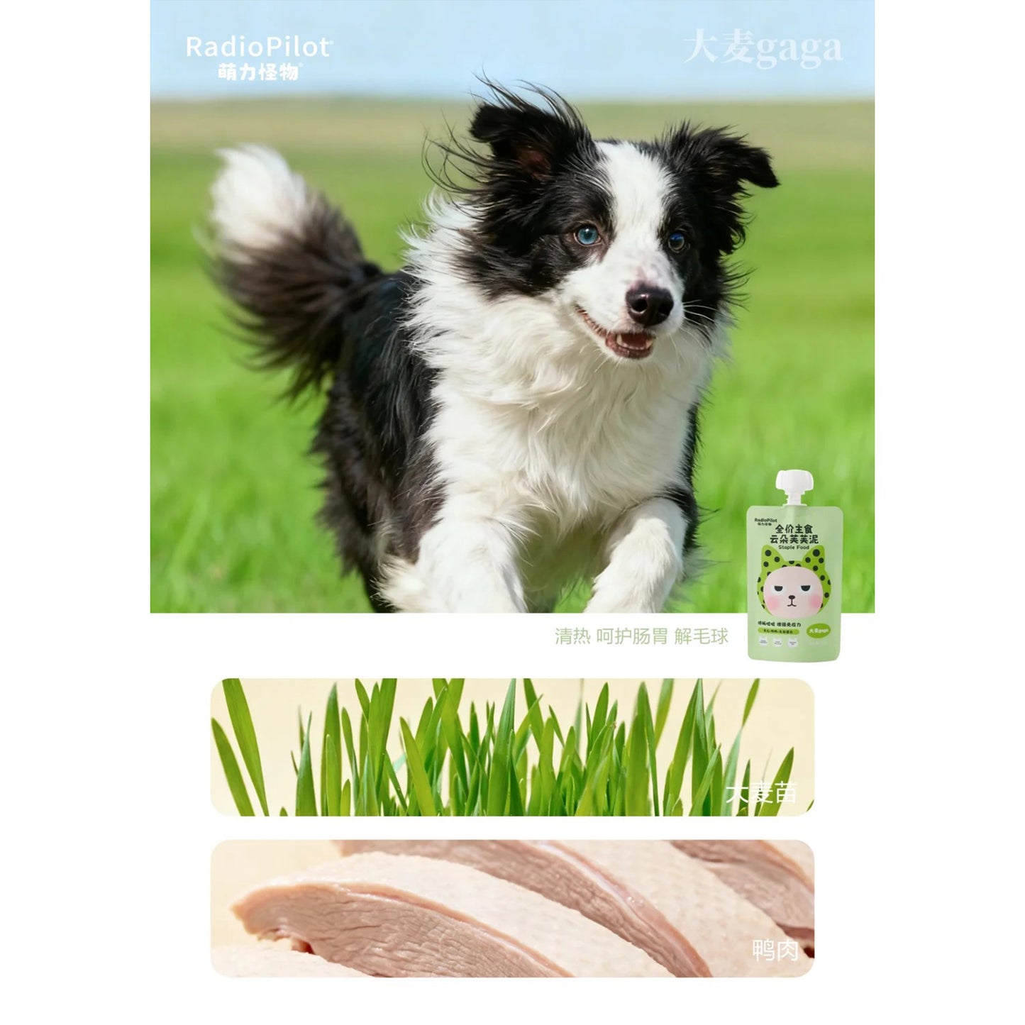 Radiopilot🐱Complete Recipe Fluffy Cloud Lactoferrin Purée 100g