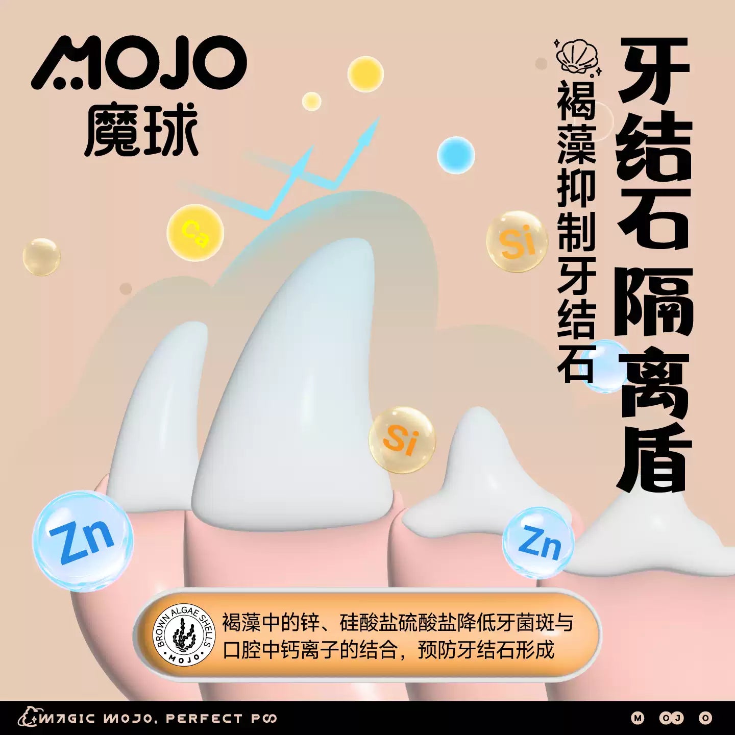 MOJO🐱🐶Freeze Dried Probiotic & Brown Algae Dental Shell Bites 48g