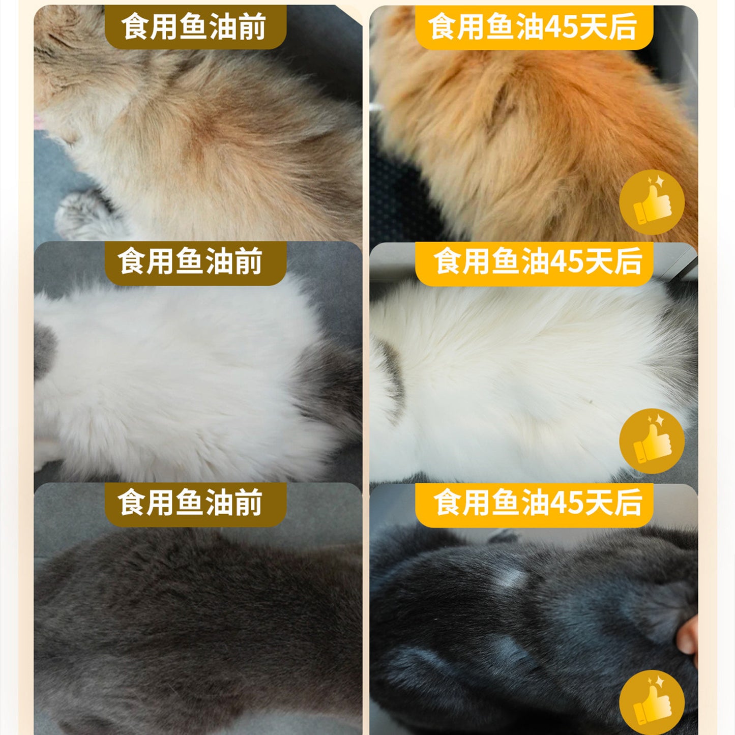 Bright🐱45 Days Skin & Coat Renew Fish Oil Freeze Dried Core Flower Dry Food 1.8kg