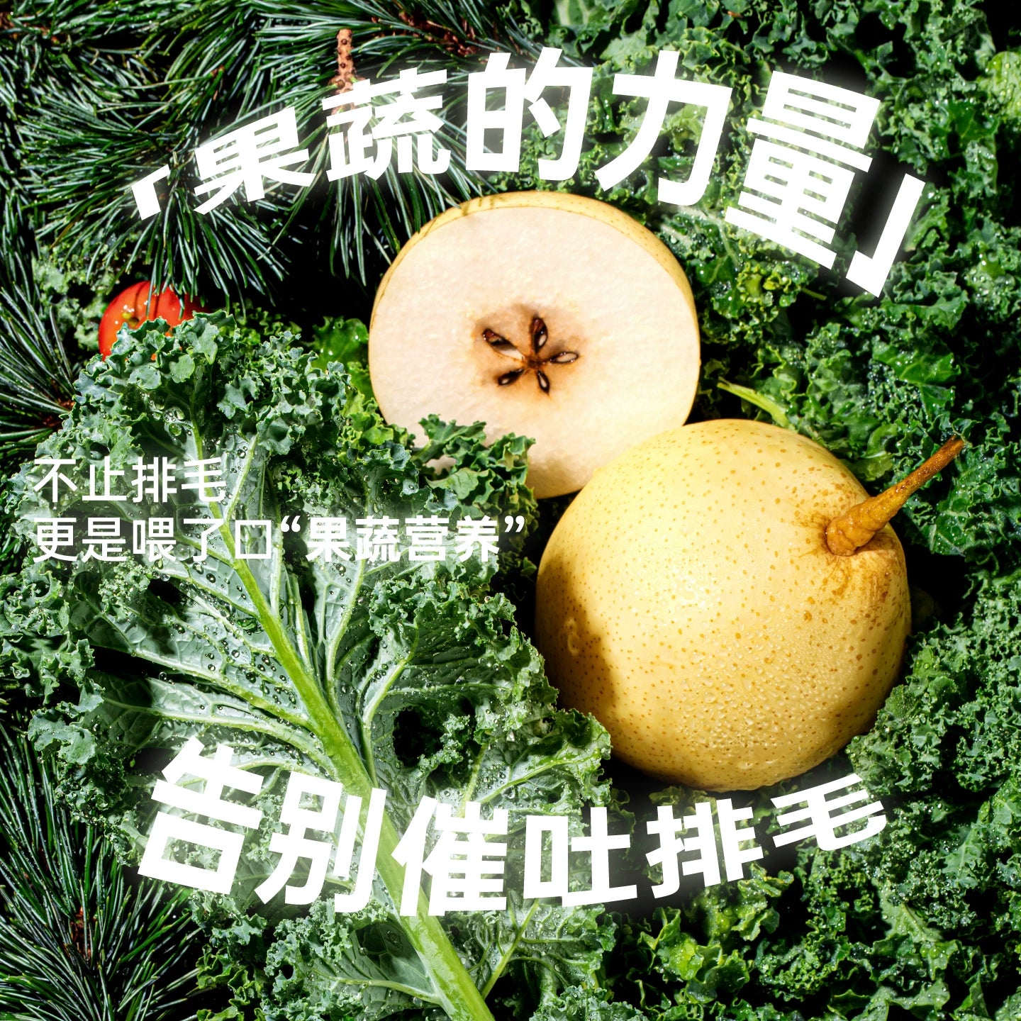 HiCubs🐱Hairball Control Fruits & Veggies Complete Wet Food