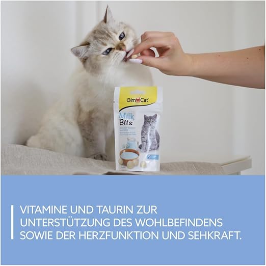 GimCat🐱Crispy Milk Balls 40g