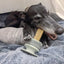 Lunoji🐱🐶Chewden Grip: Chew Holder Enrichment Tool - Sage Green