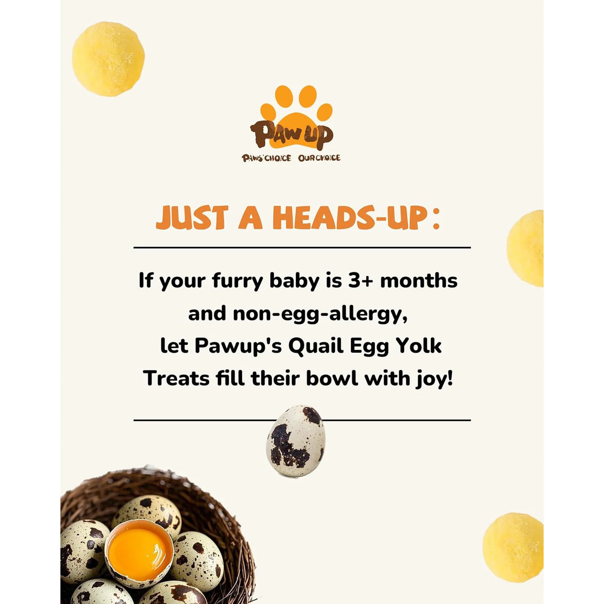 PawUp🐱🐶Freeze Dried Quail Egg Yolk 4.2oz