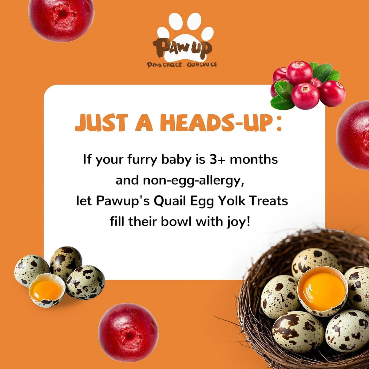 PawUp🐱🐶Freeze Dried Quail Egg Yolk & Cranberry Paws 3.5oz