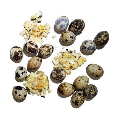 Savage Cat🐱🐶Freeze Dried Whole Quail Eggs 2oz