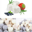 Paws N Chews🐱🐶Freeze Dried Ricotta Cheese Bites 110g