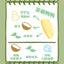HuYan🐱🐶Freeze-Dried Coconut Green Tea Duck 50g