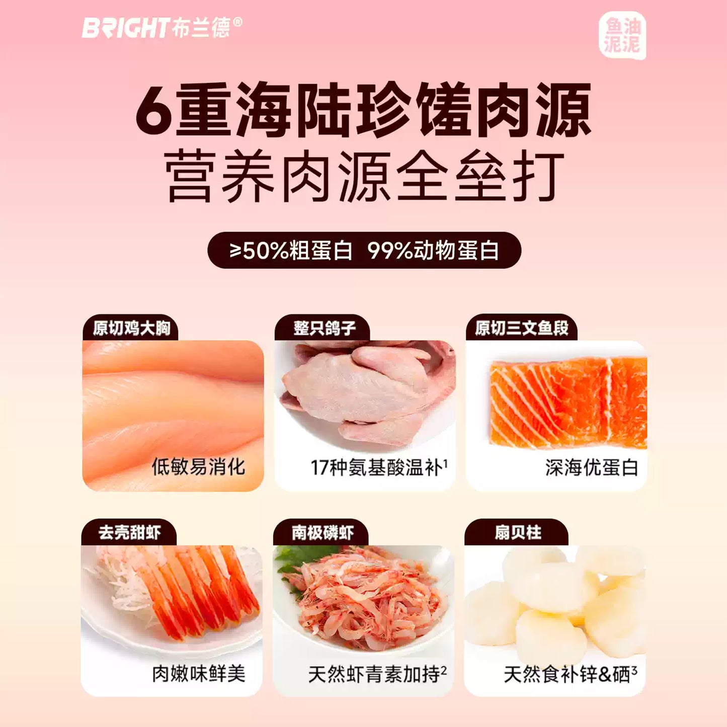 Bright🐱Nutrition Box High-Purity Fish Oil Purée Wet Food 40g*9