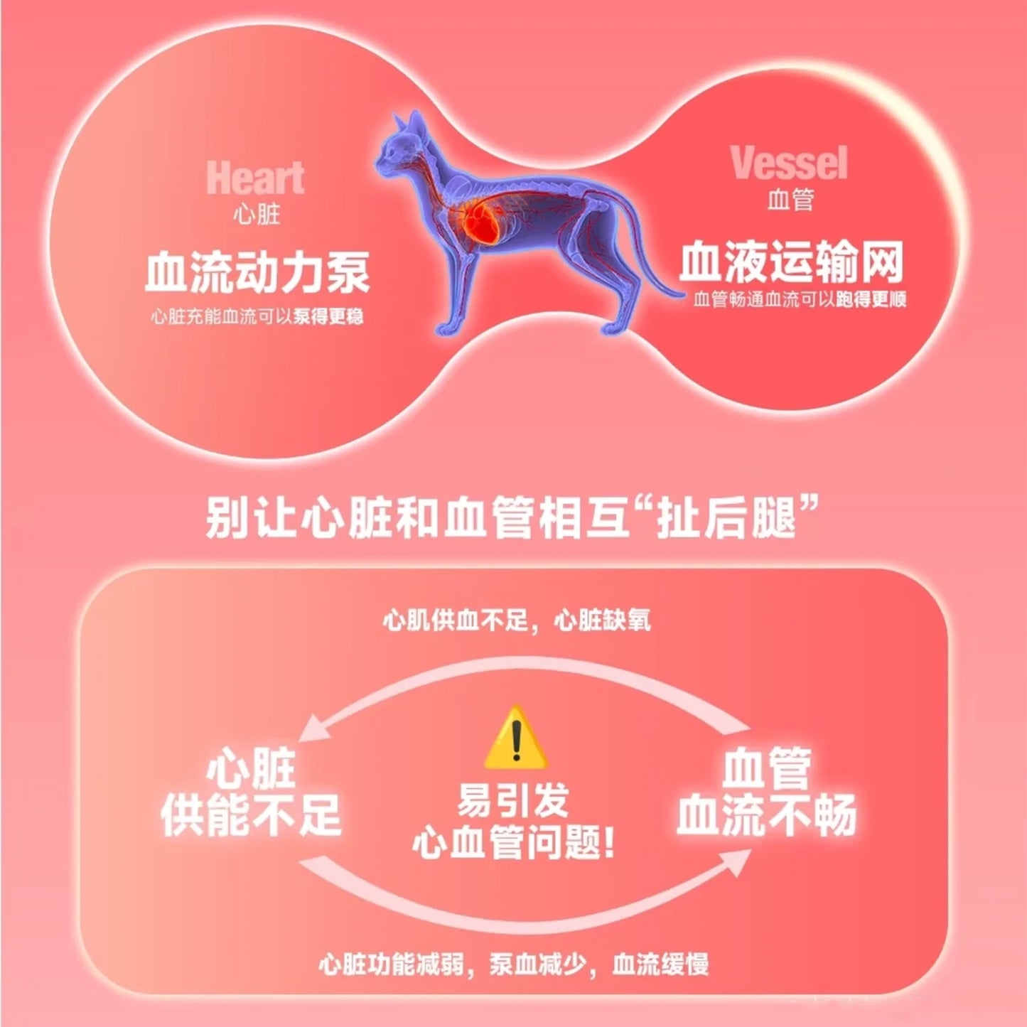 Bright🐱Chicken & Sea Buckthorn High-Purity Fish Oil Core Freeze Dried Complete Food