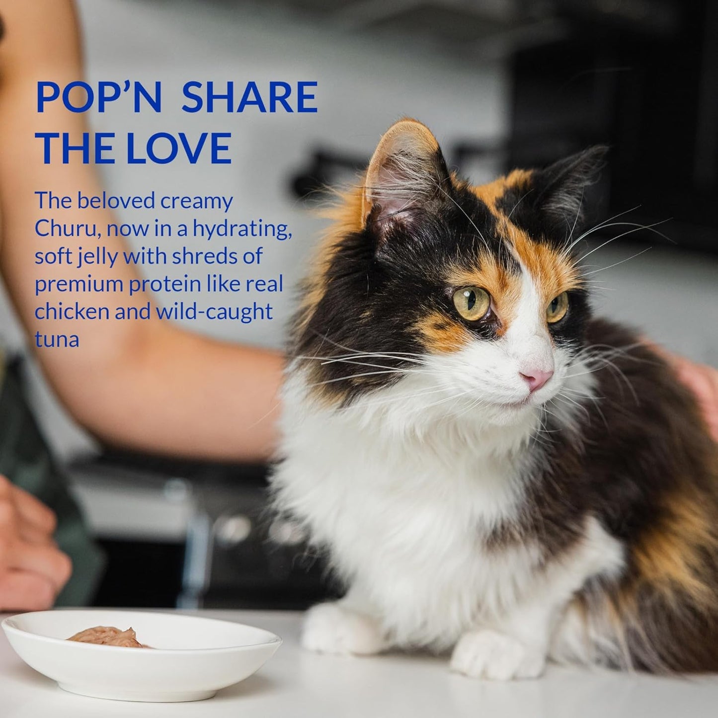 Inaba🐱Churu Pop'n Serve Grain-Free Lickable Pudding 1.2oz*2