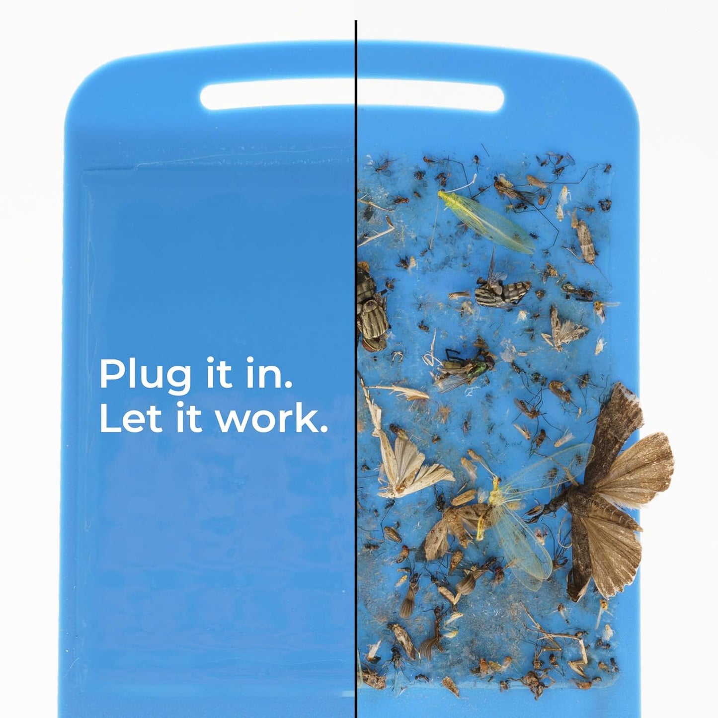 Wondercide🐱🐶Flying Insect Trap