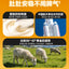 The Cat‘s Travel🐱Freeze Dried Crispy Goat Milk Filled Core Complete Meal