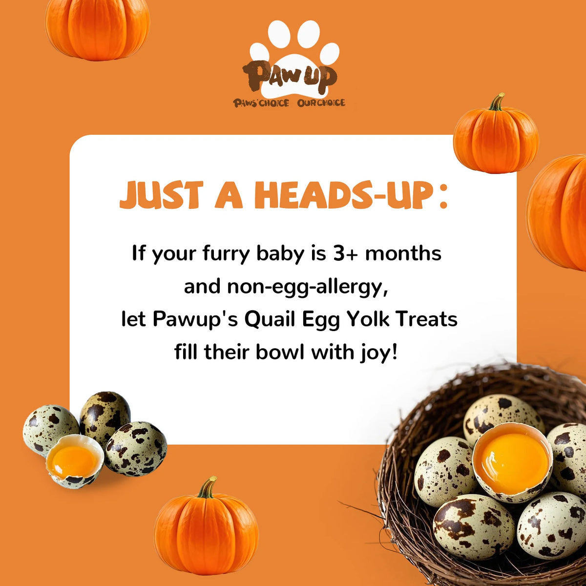 PawUp🐱🐶Freeze Dried Quail Egg Yolk & Pumpkin Paws 3.5oz