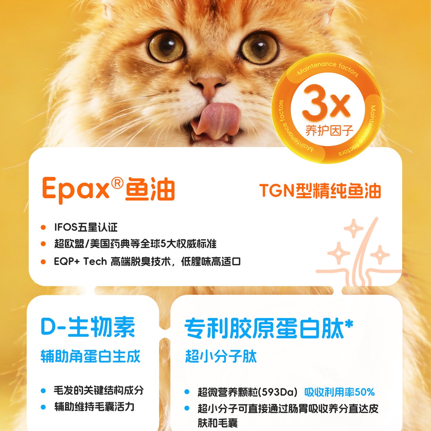 Love Around🐱Double-Layer Fluffy Hair Rabbit Complete Meal Wet Food