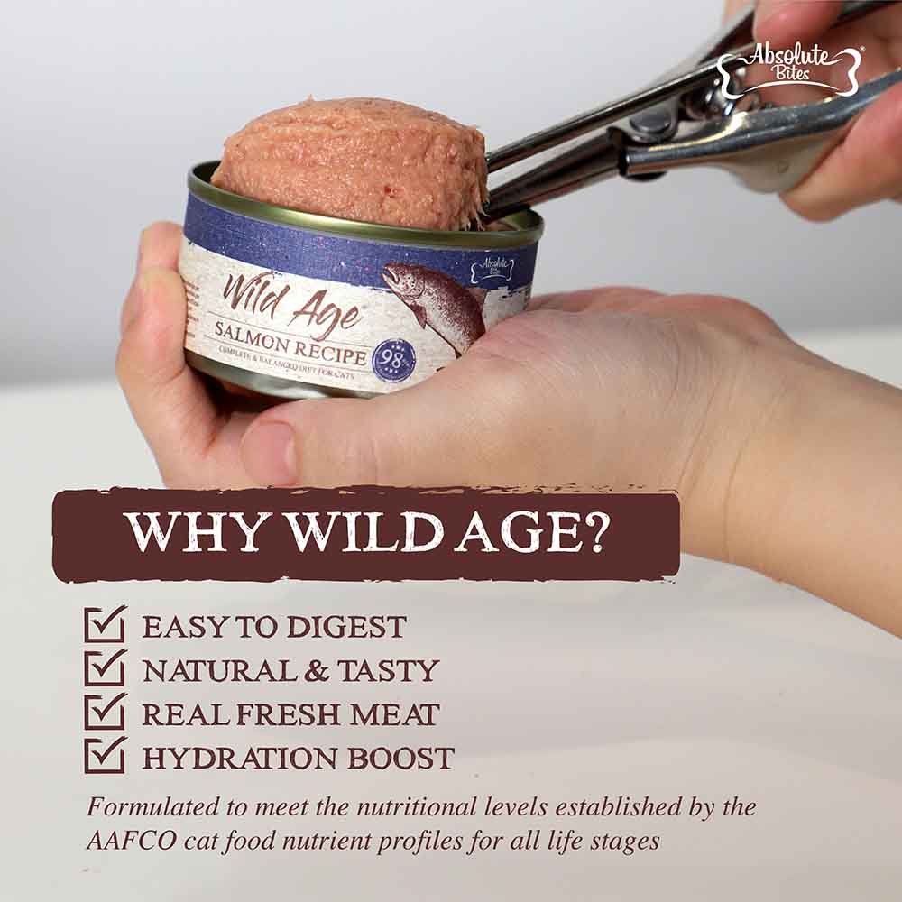 Absolute Bites🐱Wild Age Complete Wet Food 80g