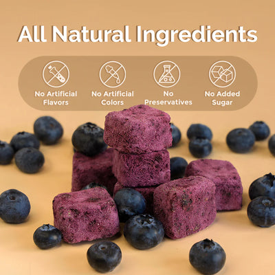 Loopy Paws🐱🐶Crispy Goat Yogurt Blueberry 30g