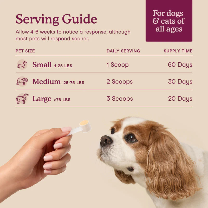 Fera Pets🐱🐶Bladder Support 61.3g