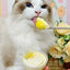 CC🐱🐶Donut Dual-Color Mousse Tart Wet Food 60g*3